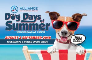 Dallas's Dog Days Of Summer
