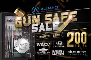 Waco Gun Safe Sale